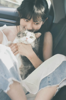 女白领的私生活